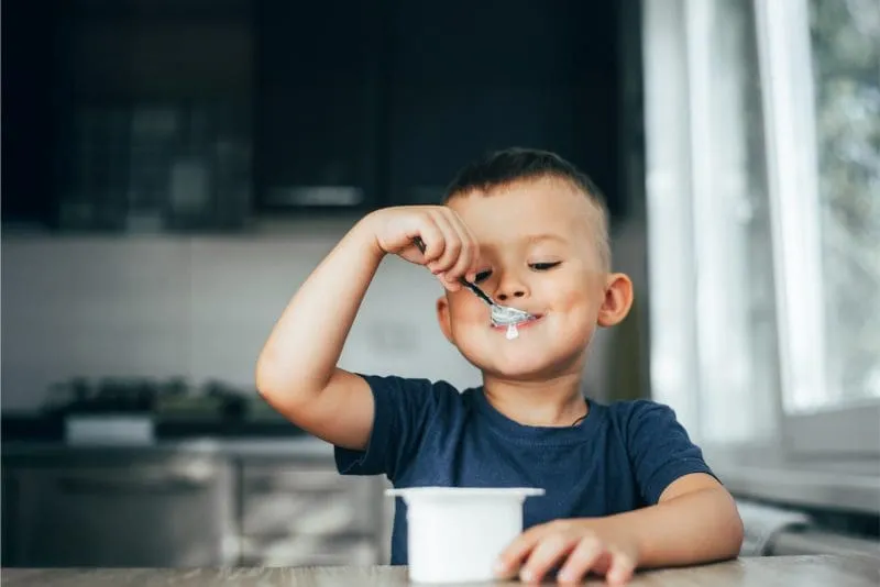 Xanthan gum uses in food