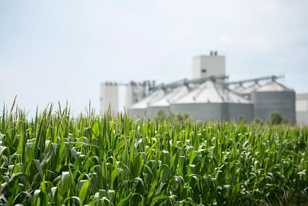 Latest sustainability report