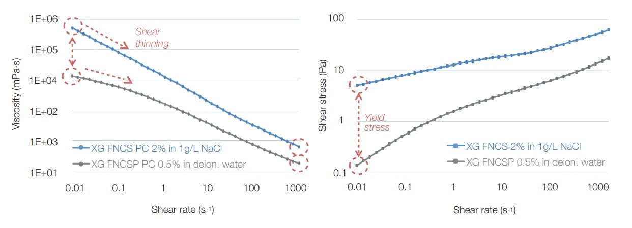 xanthan gum gluten free bread