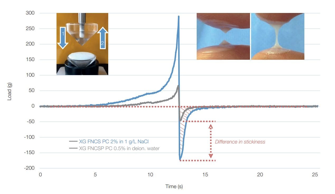 xanthan gum natural thickener face masks