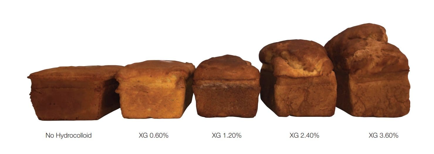 xanthan gum gluten free bread